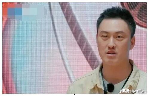 娱乐圈吃瓜爆料燕子,燕子吃瓜爆料，揭秘明星幕后故事  第2张